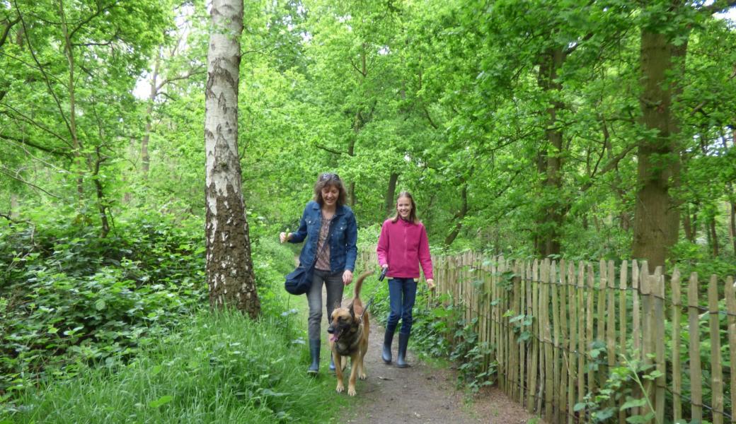 2 wandelaars met hond