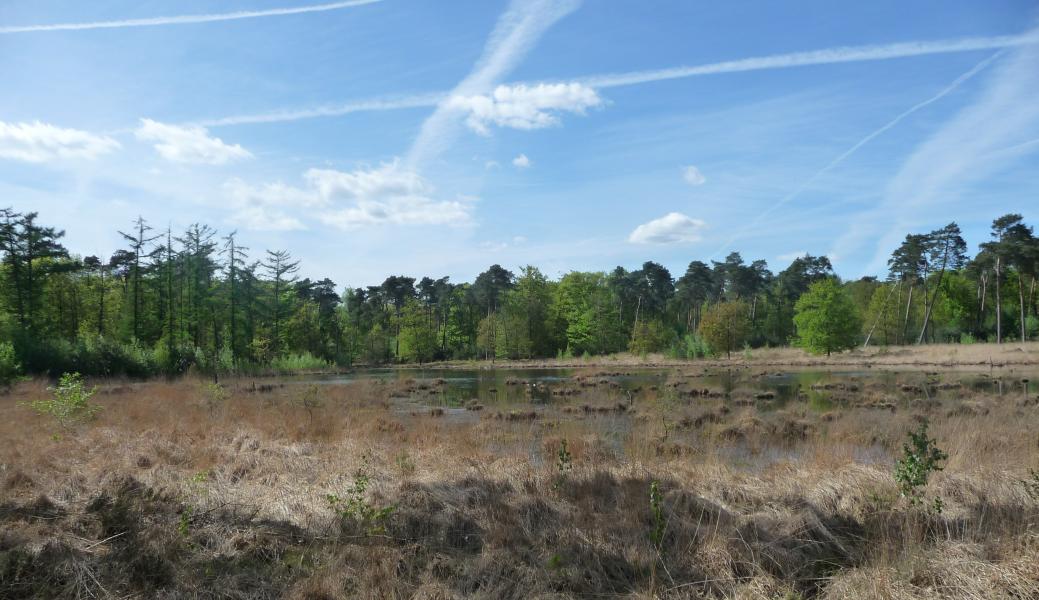 zicht op de heide