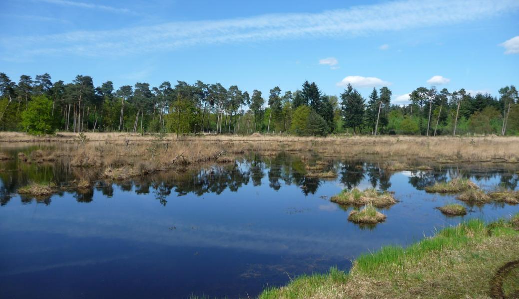zicht op het water