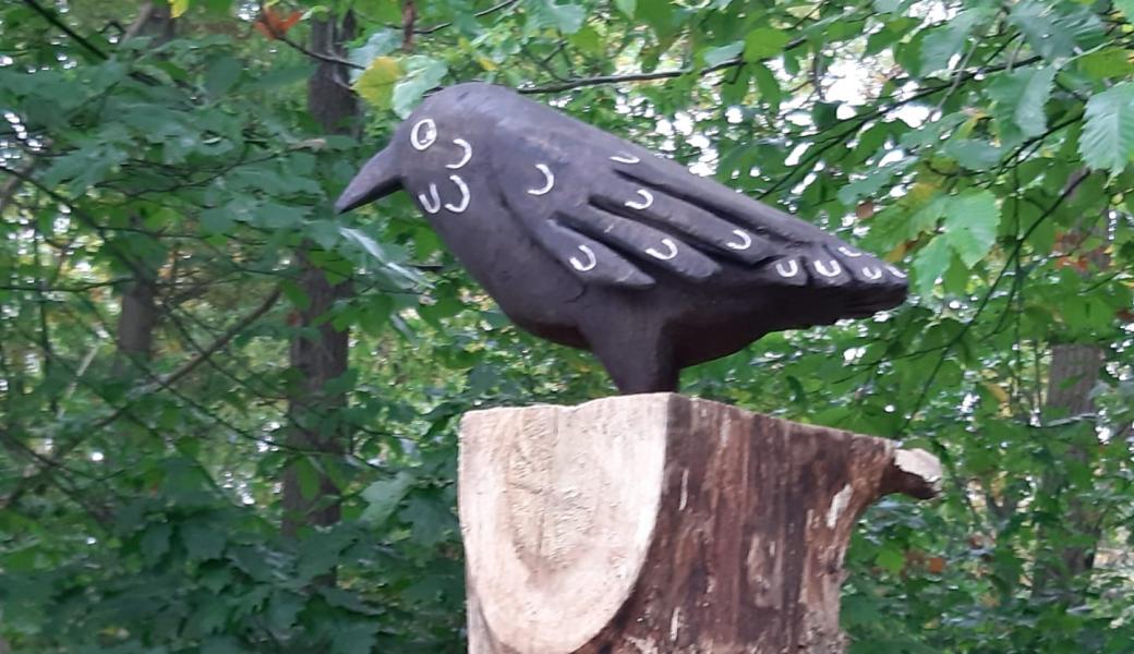Grave Ravenwandeling 