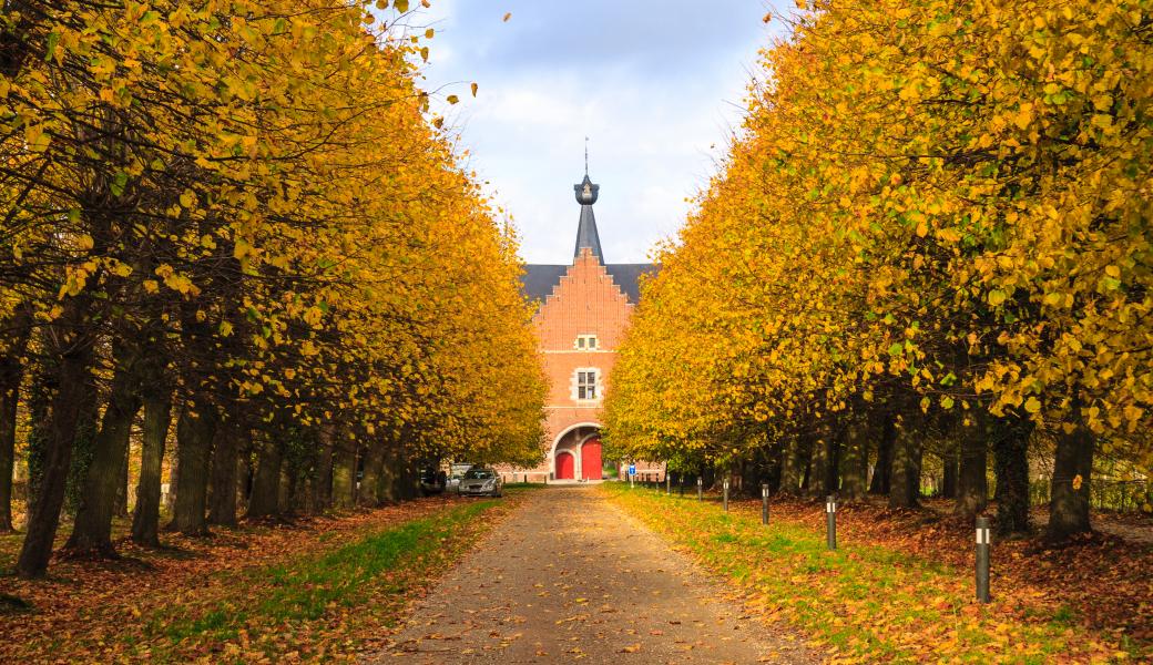 vrouwenabdij in een herfstlandschap