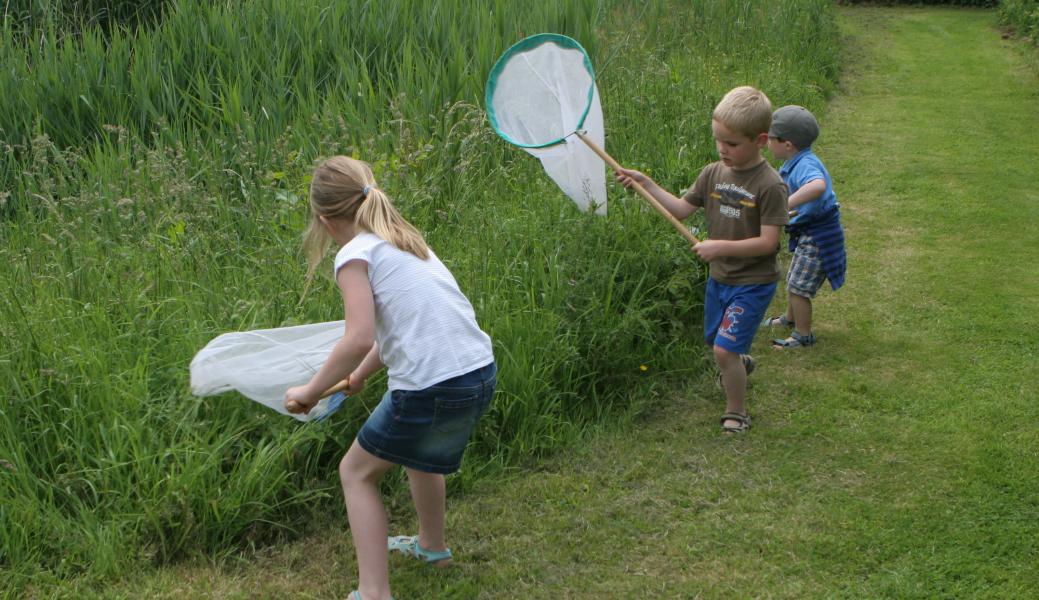 kinderen met vlindernetjes