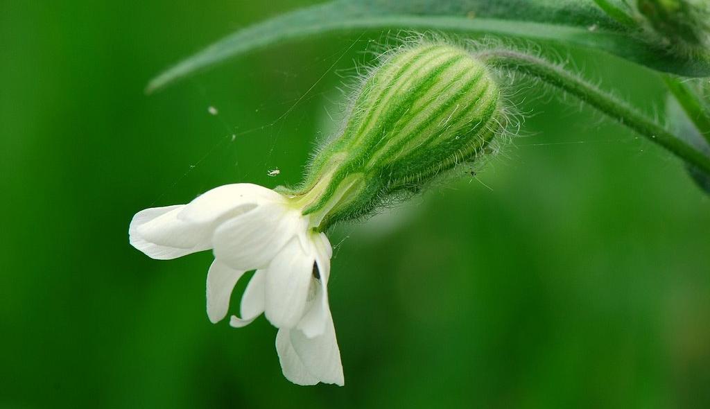Natuurbeeld zonder beschrijving