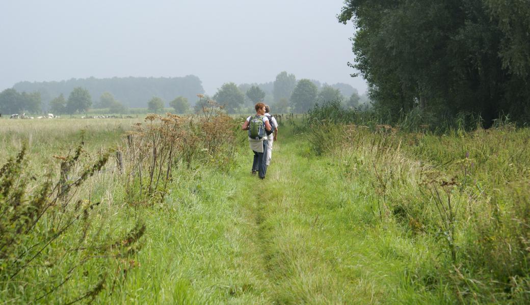 wandelaars in het landschap