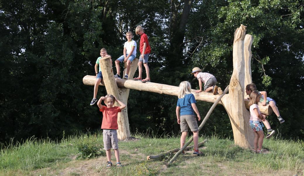 Natuurbeeld zonder beschrijving