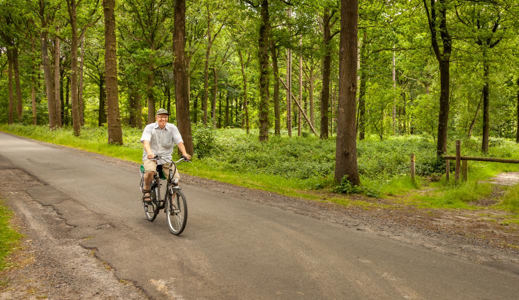 een fietser op de weg die door het bos loopt