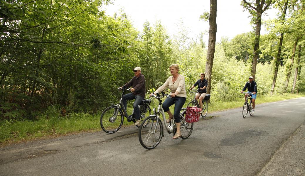 een klein groepje fietsers