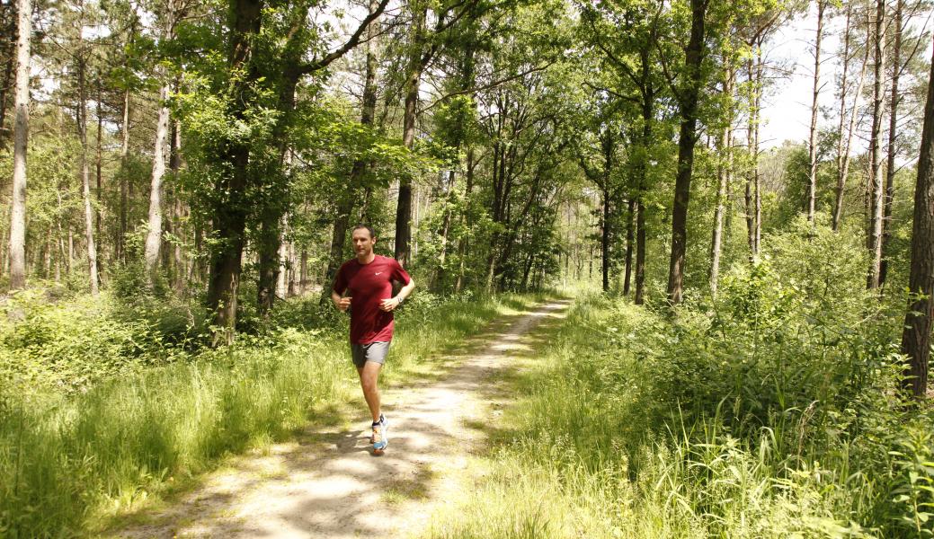 een loper in het bos