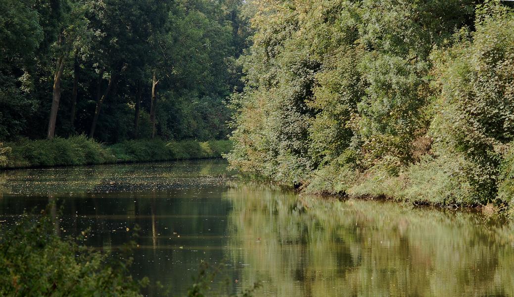 het kanaal