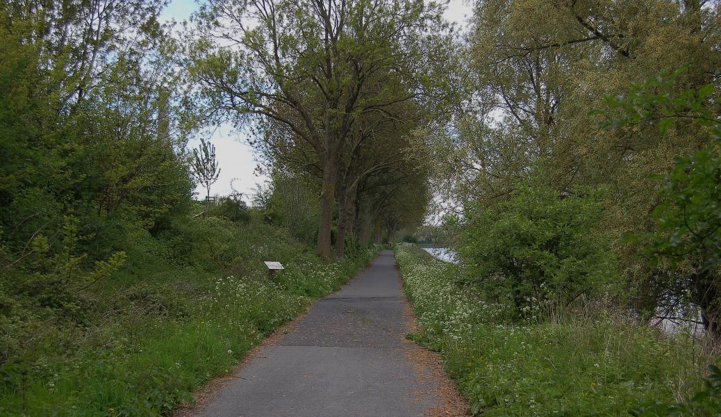 wandel-/ fietspad