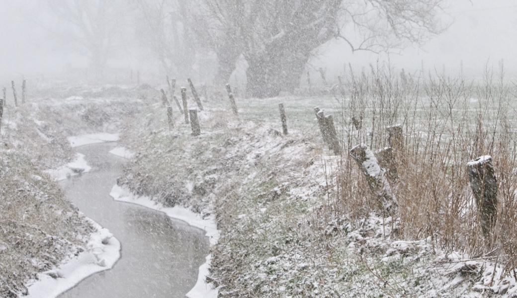 Natuurbeeld zonder beschrijving