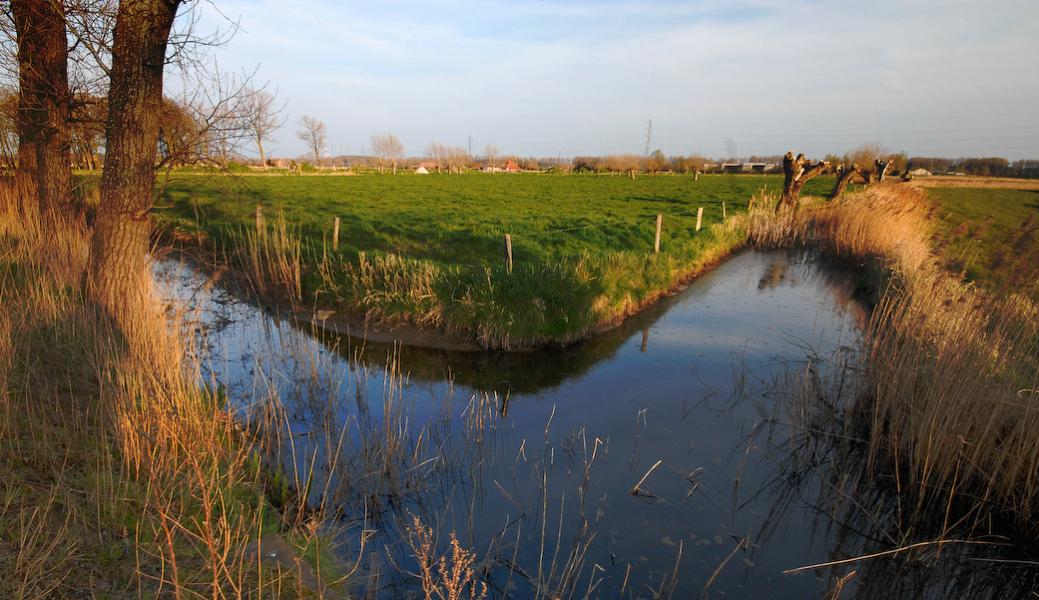 zicht op het landschap
