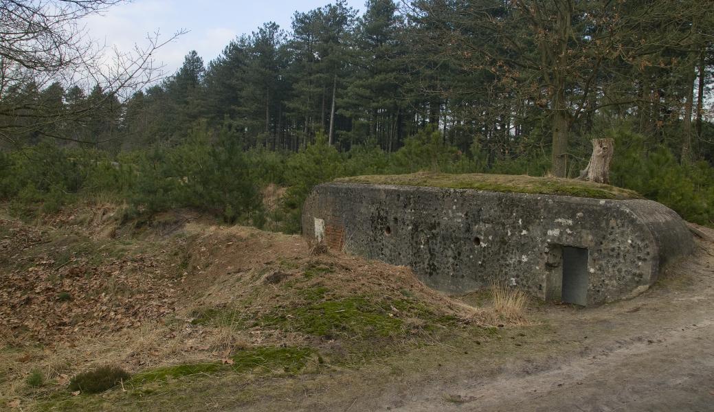 een bunker in het bos
