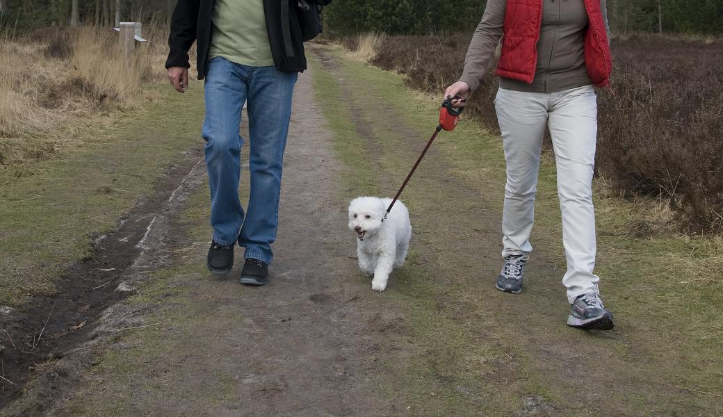 wandelaars met hond 