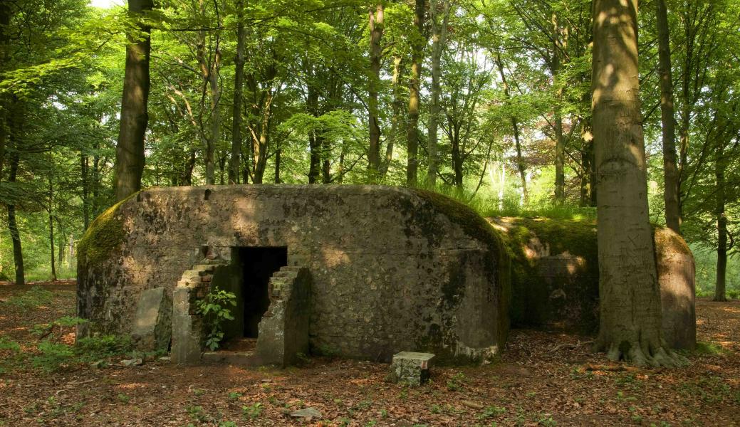 bunker in het bos