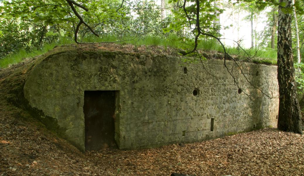 bunker in het bos