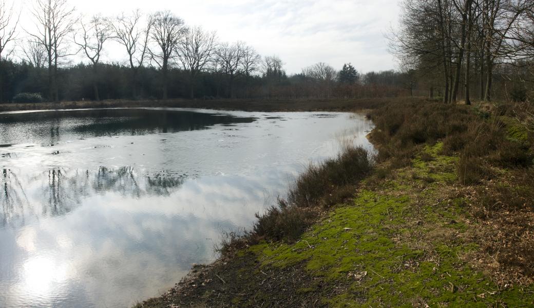 zicht over het water