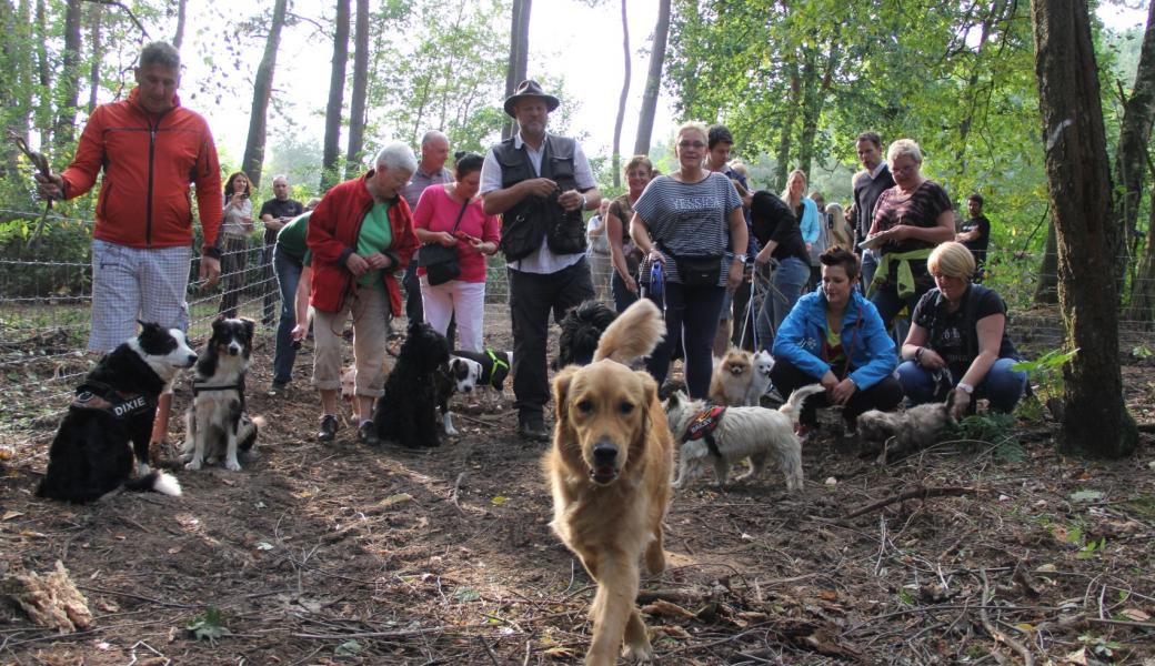 groep mensen met honden in de hondenlosloopzone