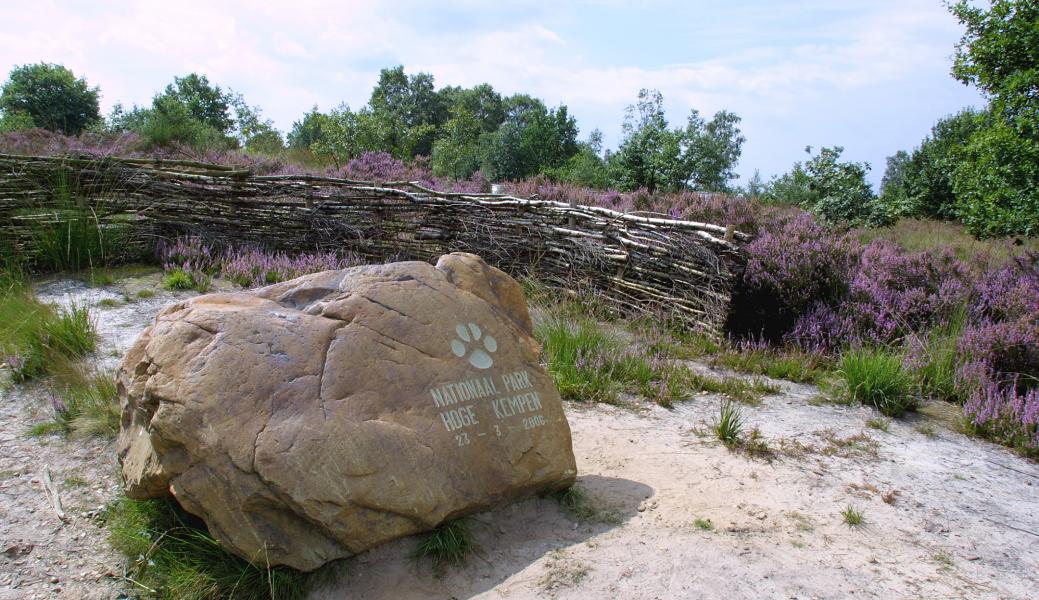keien Mechelse Heide