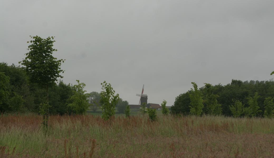 zicht op het landschap