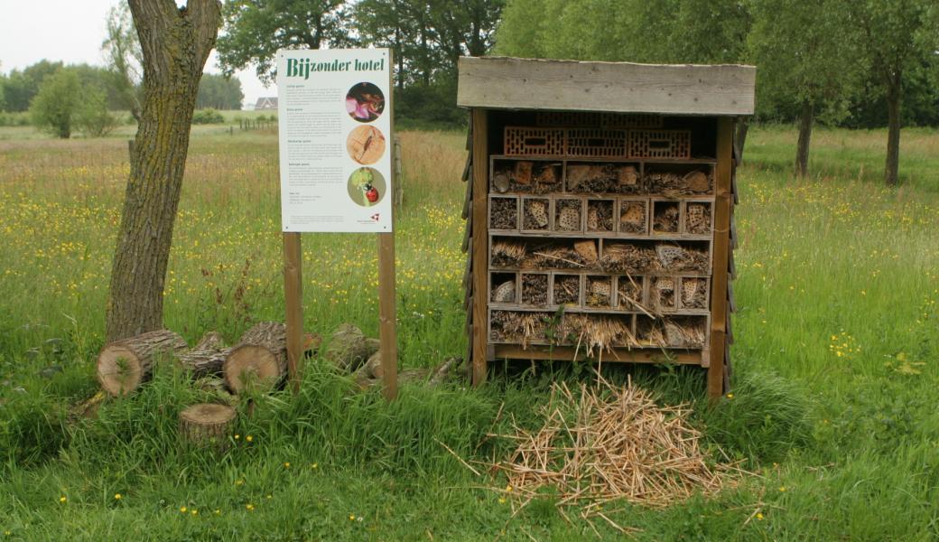 insectenhotel