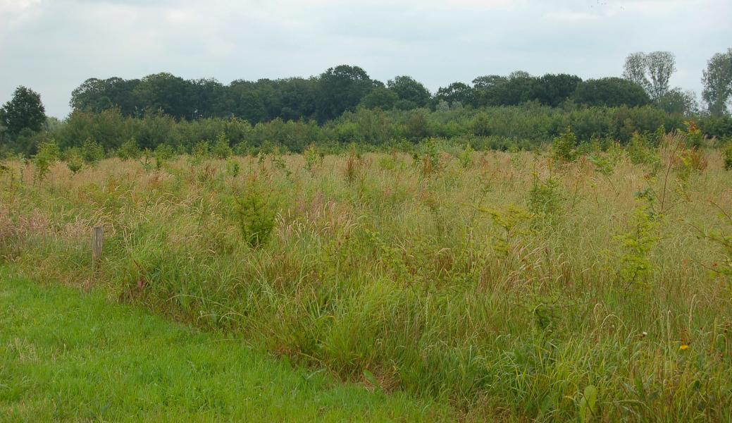 zicht op het landschap