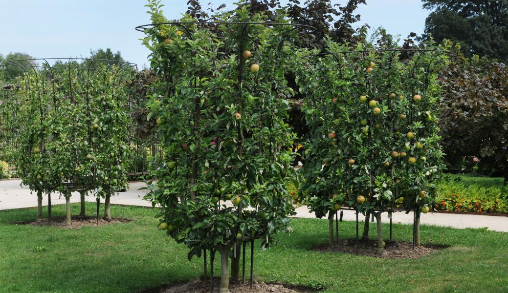 museumtuin Gaasbeek