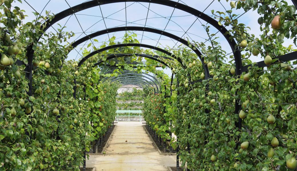 lovergang in museumtuin Gaasbeek