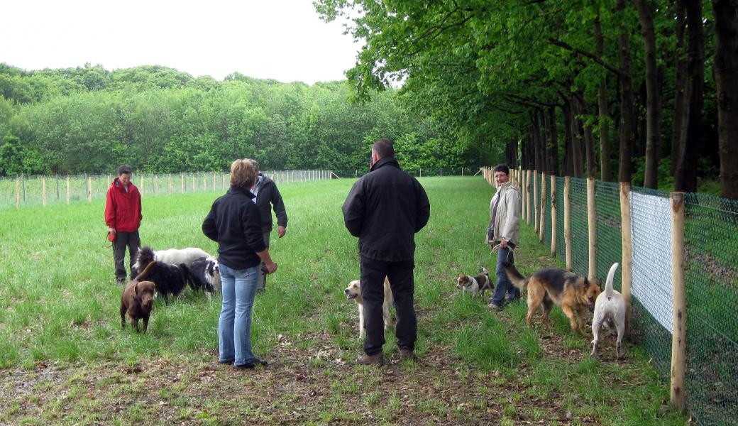 hondenzone in Noordheuvel