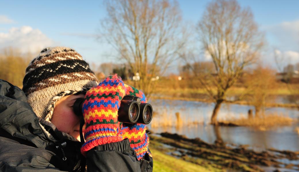 vogelkijker in de wijmeers