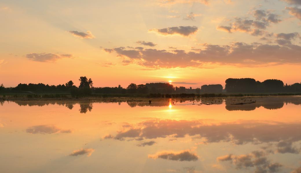 zicht over de paardeweide bij zonsondergang