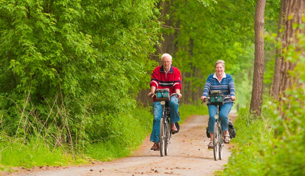 fietsers in het bos