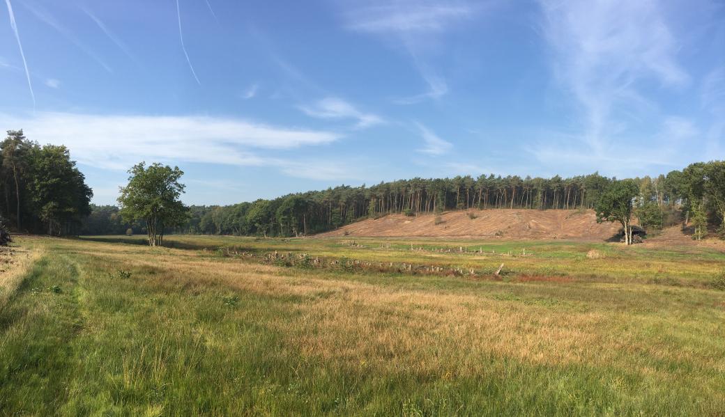 Asbroek