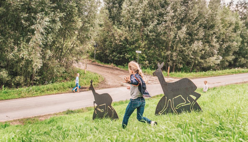 Natuurbeeld zonder beschrijving