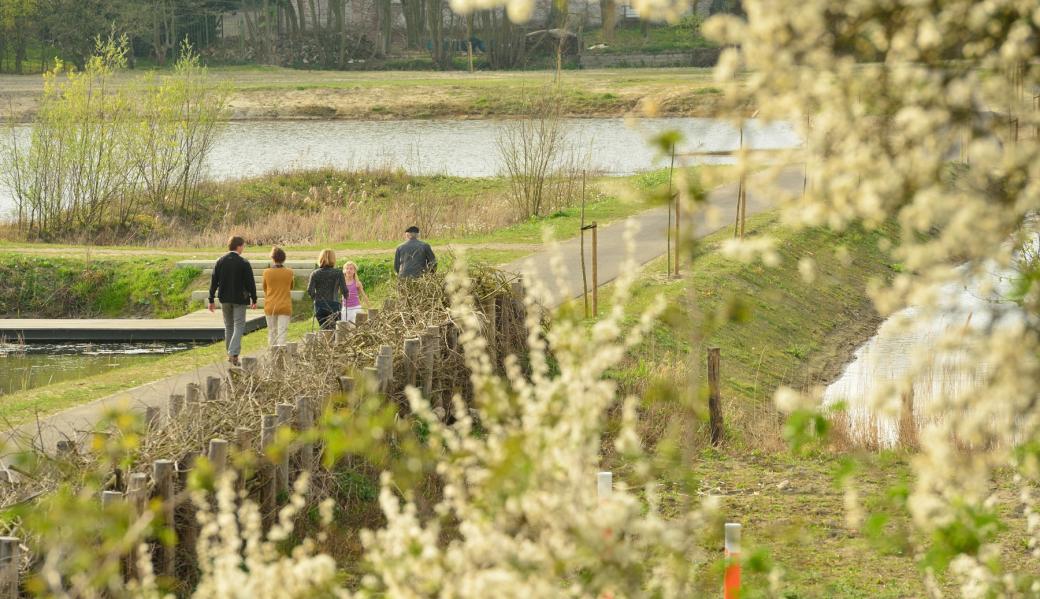 wandelaars in de polders