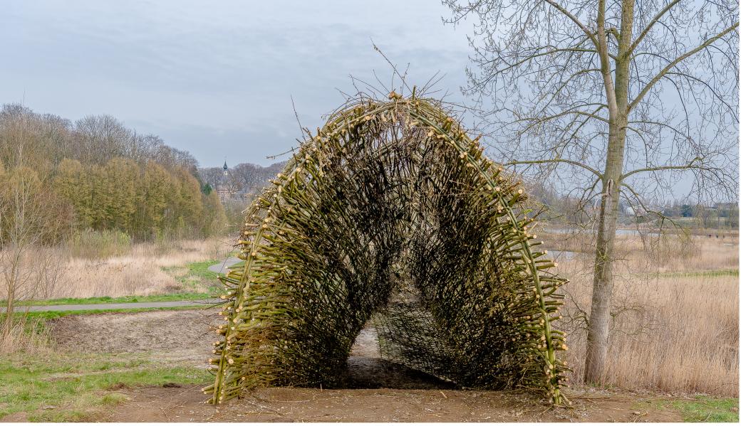 Natuurbeeld zonder beschrijving