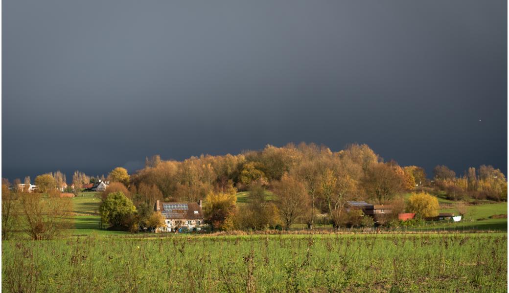 Natuurbeeld zonder beschrijving