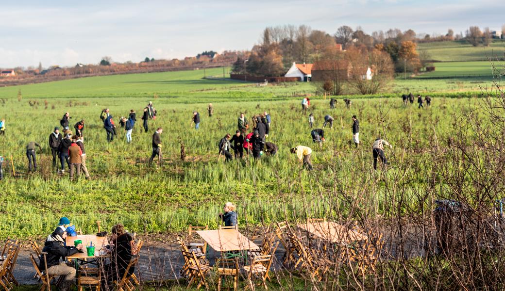 Natuurbeeld zonder beschrijving
