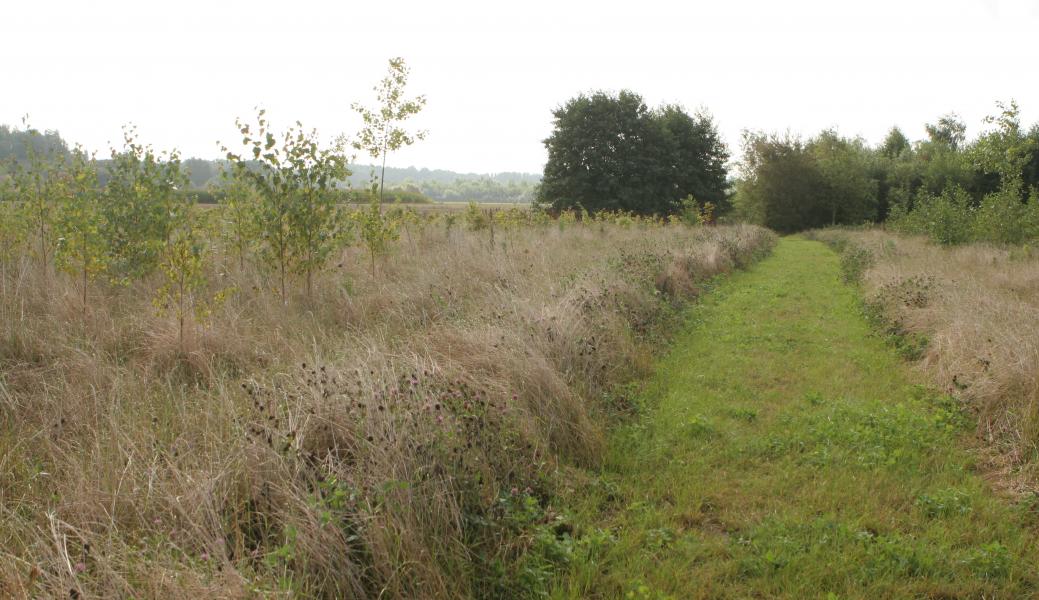 zicht op het landschap