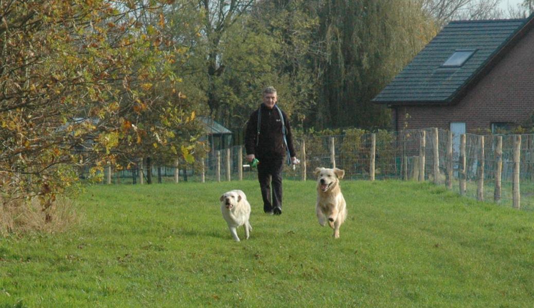 wandelaar met honden in de hondenzone