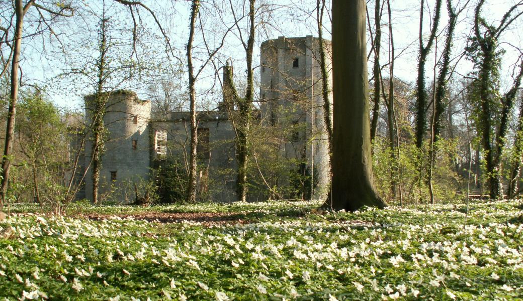 Prinsenbos