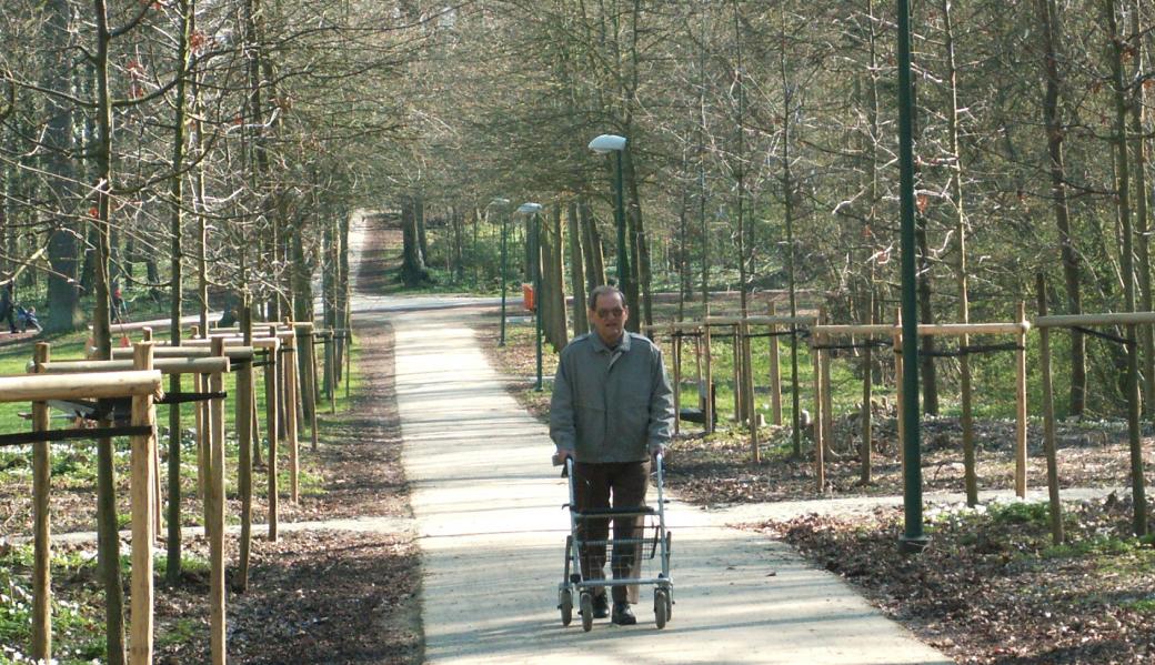 Prinsenbos