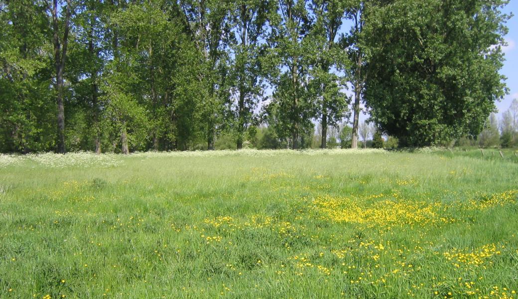 zicht op het landschap