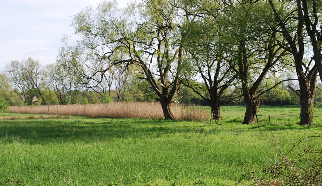 hooiland in Robbroek