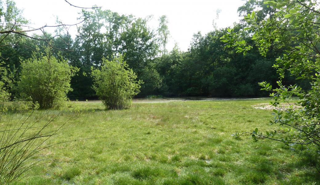 zicht op het landschap