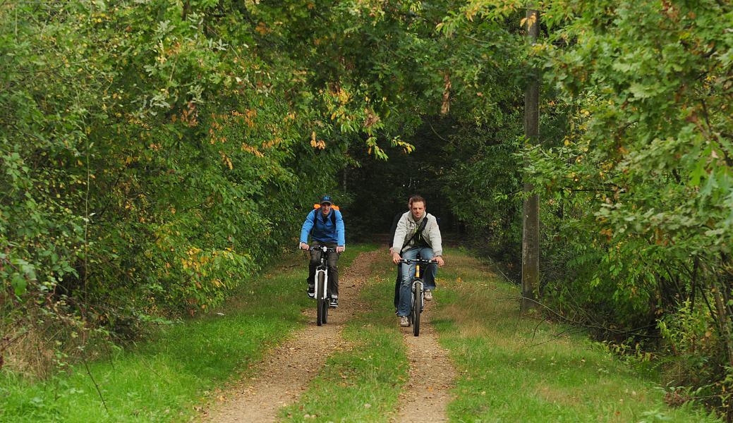 mountainbikers in het bos