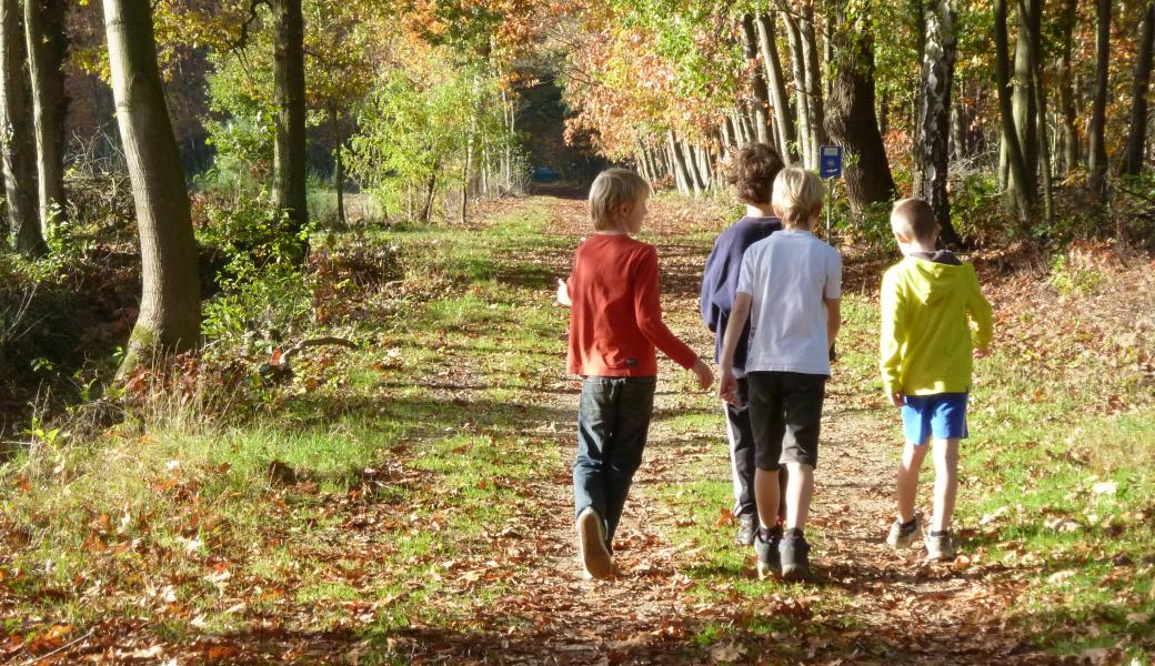 kinderen in het bos
