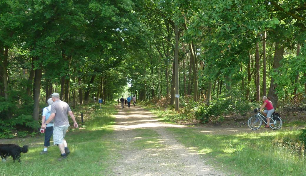 verschillende recreanten in het bos