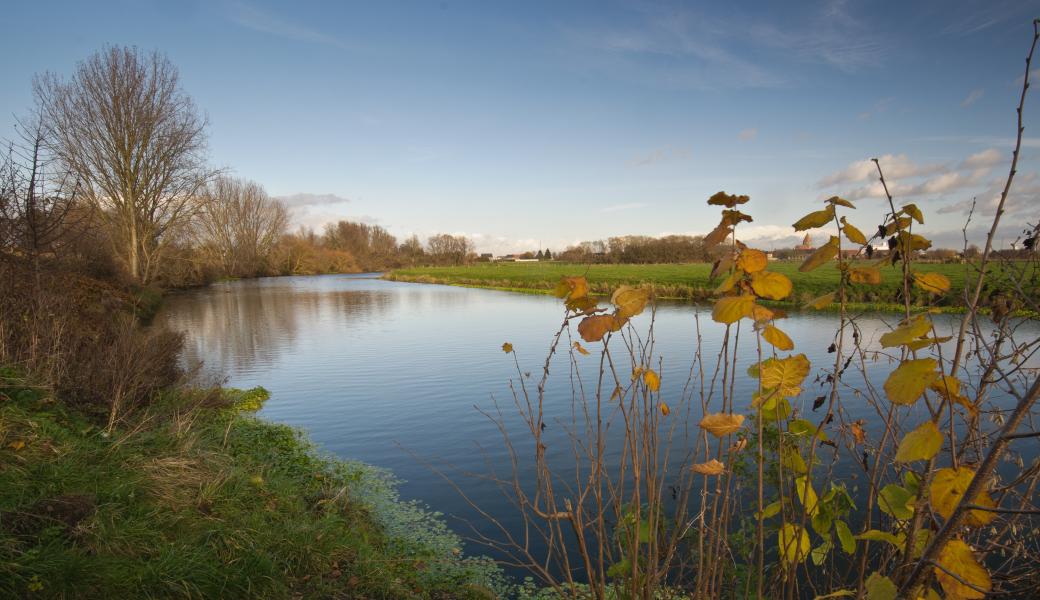 zicht op het water