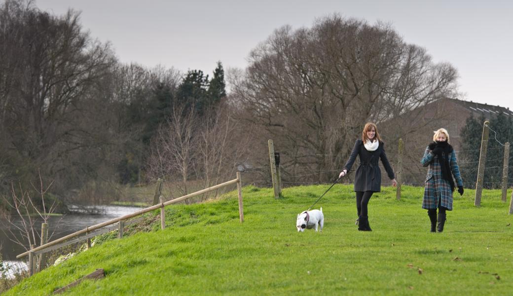 twee wandelaars met een hond